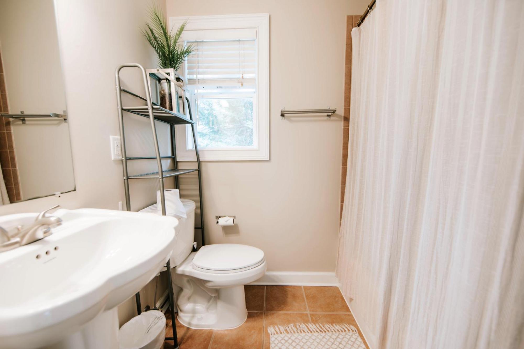 Cozy Cottage - Walk To Campus, Stadium, Downtown أثينز، أوهايو المظهر الخارجي الصورة